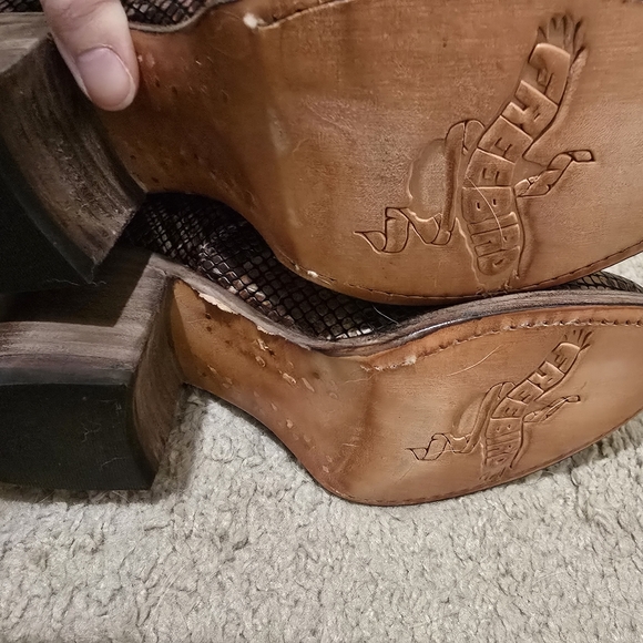 Freebird Randi - Picture 4 of 4